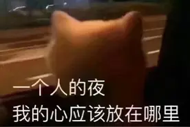 圣诞节整点刺激的？图片