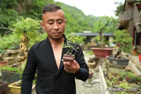 父子三人水洼地里修“花园”，扮靓美丽乡村，数万人慕名前来打卡图片