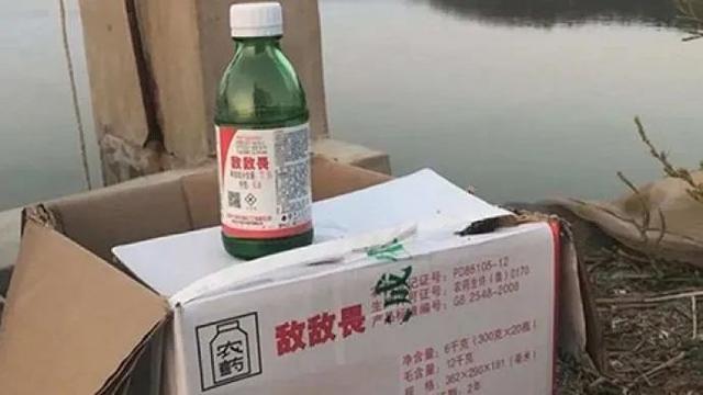 即使海参没“喝”敌敌畏，营养价值也不如鸡蛋？确实交了智商税