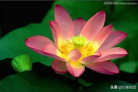 武汉PS软件课程蒙版的实用技巧图片