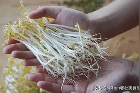 今天才知道，原来发豆芽这么简单，4天就能吃，比买的还脆嫩新鲜图片