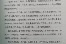 「美」卡勒德•胡赛尼《追风筝的人》图片