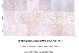 原来这才是碱性水图片