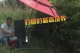 上海一男子河边淡定撑伞钓鱼，仔细一看网友不淡定了：交情不一般图片