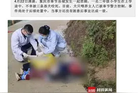 @蒙自人 办狗证最全攻略来了图片