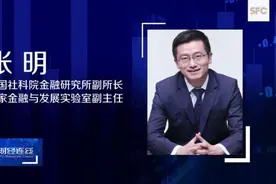 全球财经连线｜专访中国社科院金融研究所副所长张明：共同富裕是中国构建双循环新发展格局的一个必然要求图片