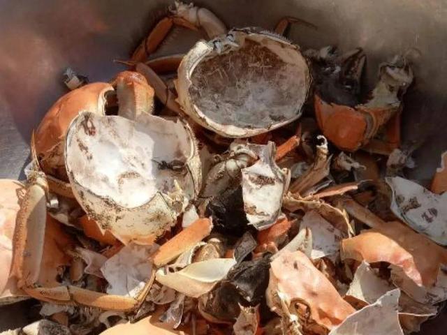 养分含量超高的营养土，自己在家也能做，省下一大笔 买花钱