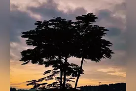那个曾经人人羡慕的伯伯，如今生活一地鸡毛图片