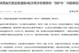 27件、348人、4起典型案例 看看陕西省这份扫黑除恶的“成绩单”图片