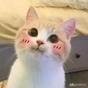 侠盗勇士跳（最后一名初代侠盗勇士被迫营业）