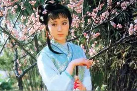 《红楼梦》中的四大行为艺术美景图片