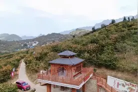 广西一小伙从摆地摊转型卖柿饼，半年就卖出5700多万元图片