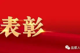 点赞！盐都这些学校和老师获得表彰图片