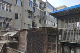 镇江一楼居民房漏水与二楼鸽子笼有关？两家各执一词图片