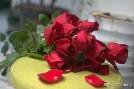 免费种的玫瑰要谢了，我却发现了另一种美图片