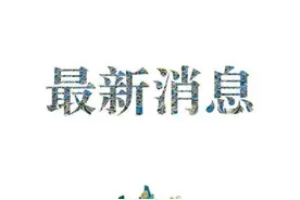 2只大熊猫幼仔抢救无效死亡图片