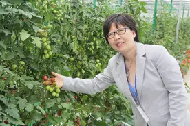 段然：以全新姿态颠覆农业的传统图片