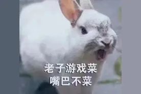 暴躁兔子超大声bb表情包图片