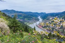 藏在深山里的春光！花海、教堂美如画，成都出发1h即达，不要门票图片