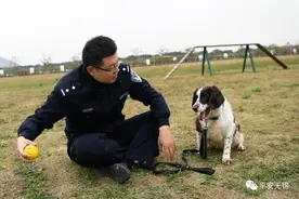 无锡功勋警犬退休，可有个职业病改不过来图片