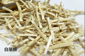 每天学习一味中药——白茅根图片