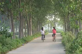 村路带我回家 （散文） / 南山风 陕西眉县 秦岭文学图片