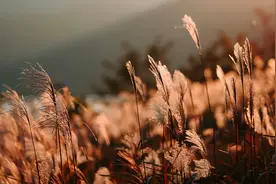 你做事的态度，决定了你的人生高度图片