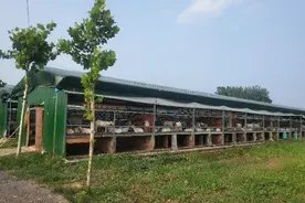 我，85后3个孩子的宝妈，开宝马做千万的生意，开三轮儿借钱买米图片