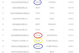 2019年南阳民营企业30强(西峡7家，邓州4家，内乡3家，淅川3家)图片