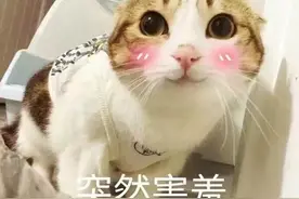 原耽之看梗猜书——白色手机?0.5，1.0，2.0指的啥?图片