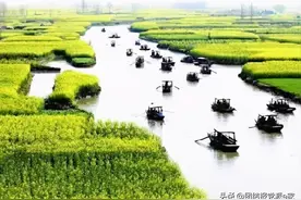 缅怀西路军英烈图片