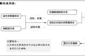 磁性壳聚糖微球固定化乳糖酶及其酶学性质图片