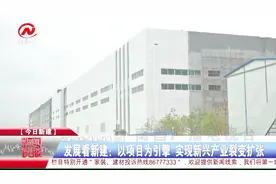 乾照光电：以项目为引擎，实现新兴产业裂变扩张视频封面