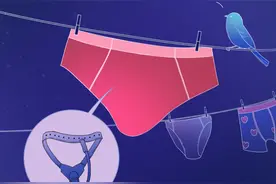 在女生眼中，男生穿哪种内裤最性感？图片