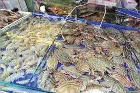 开海季，大连海鲜市场非常“热”图片