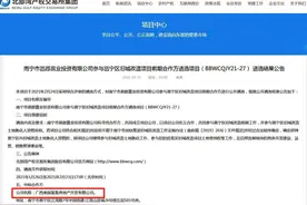 南宁地产又一大力作，趋势很猛？图片