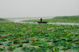 第一次自驾游，一次不太成功的微山湖之旅图片
