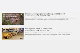 大象会回家吗？全球“粉丝”现在不担心了，因为他们知道“中国这么努力保护它们”图片