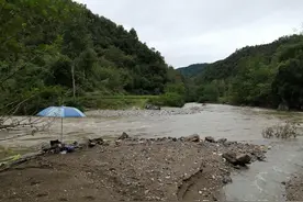 一边旅游，一边钓鱼，我在秦岭深山溪流钓到的这种鱼，你认识吗？图片