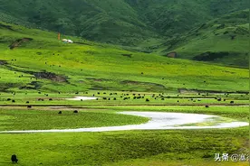 成都自驾西北环线旅游——嗨翻这个夏天图片