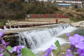 看！这么美！丹江口这里成打卡旅游网红点图片
