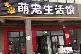 把开宠物店当成是创业：那是做最美的梦，想挨最毒的打图片