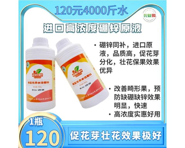 銆屾皑鍩洪吀鑲ャ€嶆繁搴﹁В鏋愶紝鐪嬬湅姘ㄥ熀閰稿湪鑺辫娊鍒嗗寲涓婃壆婕斾粈涔堥噸瑕佽鑹? onerror=