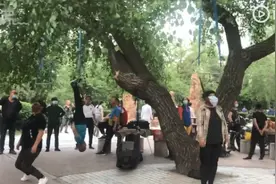 大爷大妈为治疗颈椎病把头挂树枝上锻炼，跟随绳索摇晃！网友：确定老年人可以这么玩？图片