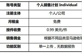 亚马逊站点入驻流程和注意事项图片