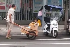 福建一爷爷自制“黄包车”带孙女“穿越上海滩”，网友：有那味了图片