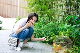 Dear-迪丽热巴 ​​​图片