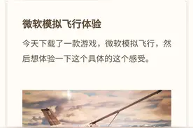微软模拟飞行体验图片