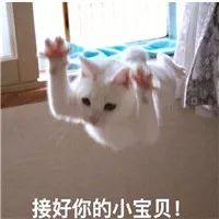 如何策划一场有创意互动感强的年会?