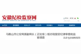刚刚，安徽一市公安局原副局长主动投案！图片